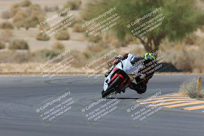 media/May-14-2023-SoCal Trackdays (Sun) [[024eb53b40]]/Turn 5 Tree of Life (1125am)/